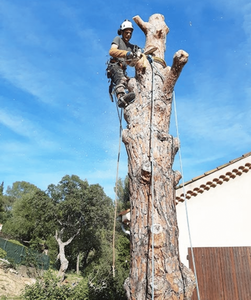 Arbres et Jardin (3)
